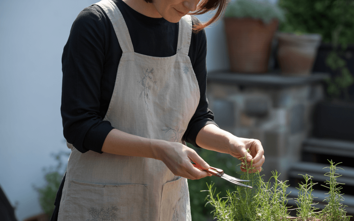Femme en tablier coupant des herbes aromatiques avec des ciseaux, dans un jardin ensoleillé. Pots en arrière-plan.