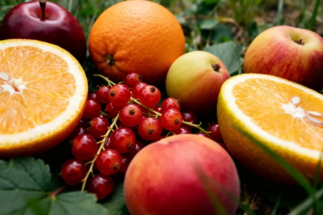 Oranges et pommes entourées de groseilles rouges, parfait exemple d'un fruit en E