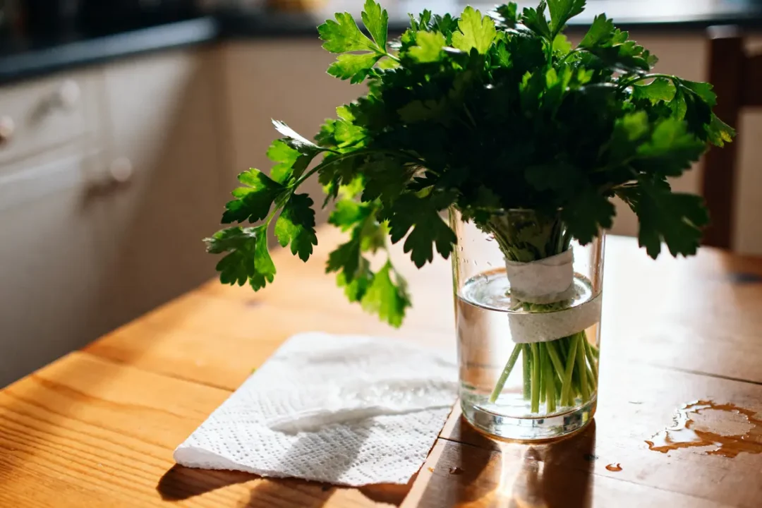 Bouquet de persil frais dans un verre d'eau pour apprendre comment conserver du persil frais